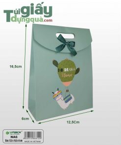 Túi Giấy Nắp Nhỏ