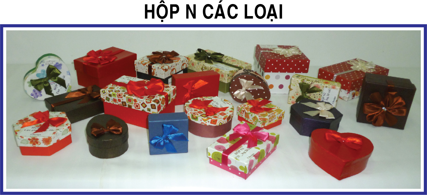 HOP N CAC LOAI